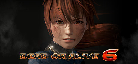 死或生6 豪华中文版 全DLC