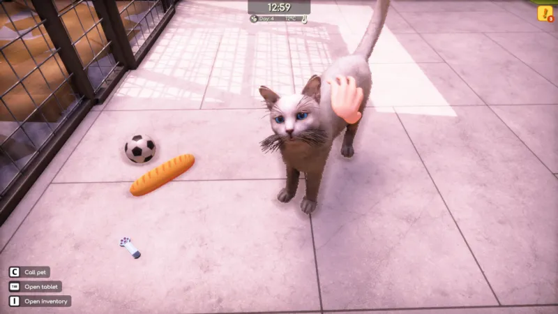 动物收容所2 豪华中文版 全DLC 游戏截图
