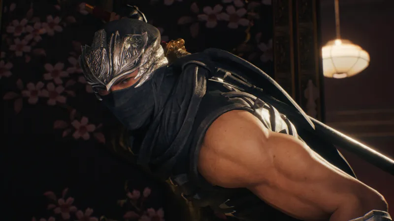 忍者龙剑传2：黑之章 豪华中文版 全DLC 游戏截图
